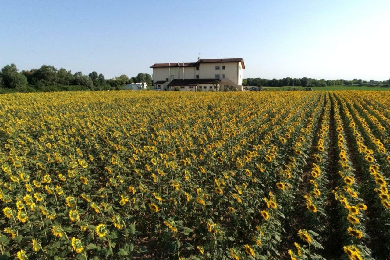 Al Cavaliere Villa Pordenone Eksteriør billede